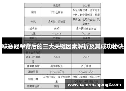 联赛冠军背后的三大关键因素解析及其成功秘诀