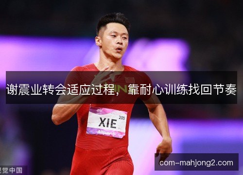 谢震业转会适应过程，靠耐心训练找回节奏